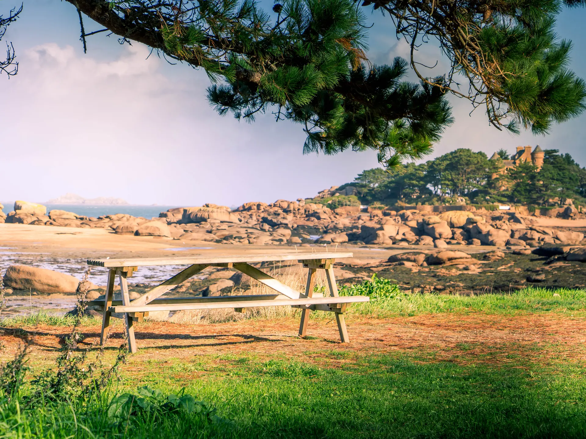 Tables pique nique Ty Nevis