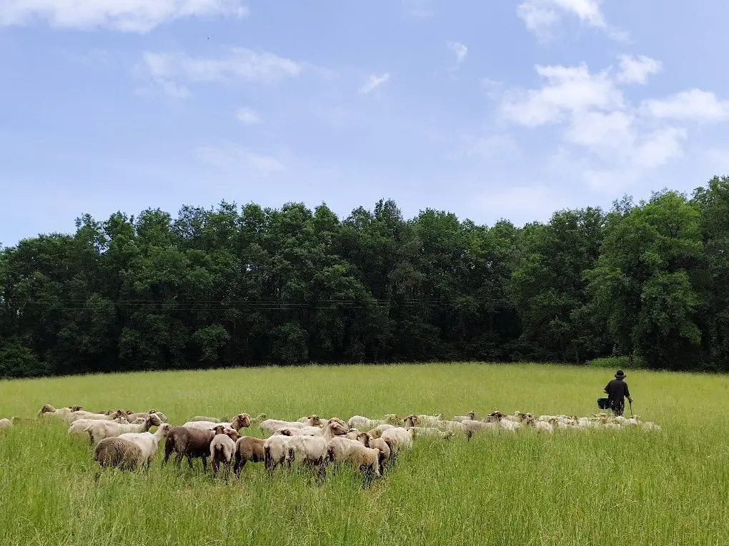 Ferme de Charmonteil Lisle