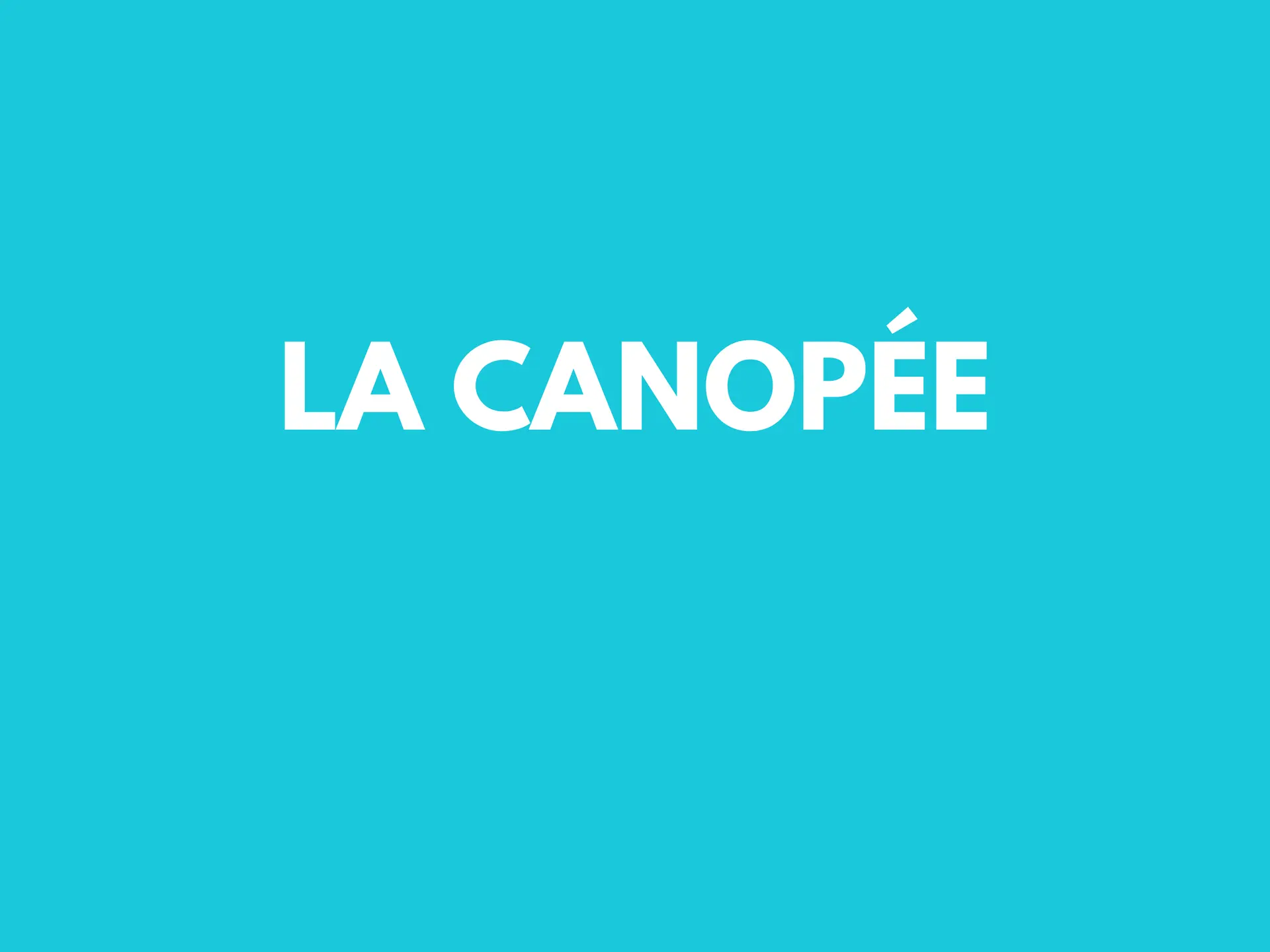 la canopée