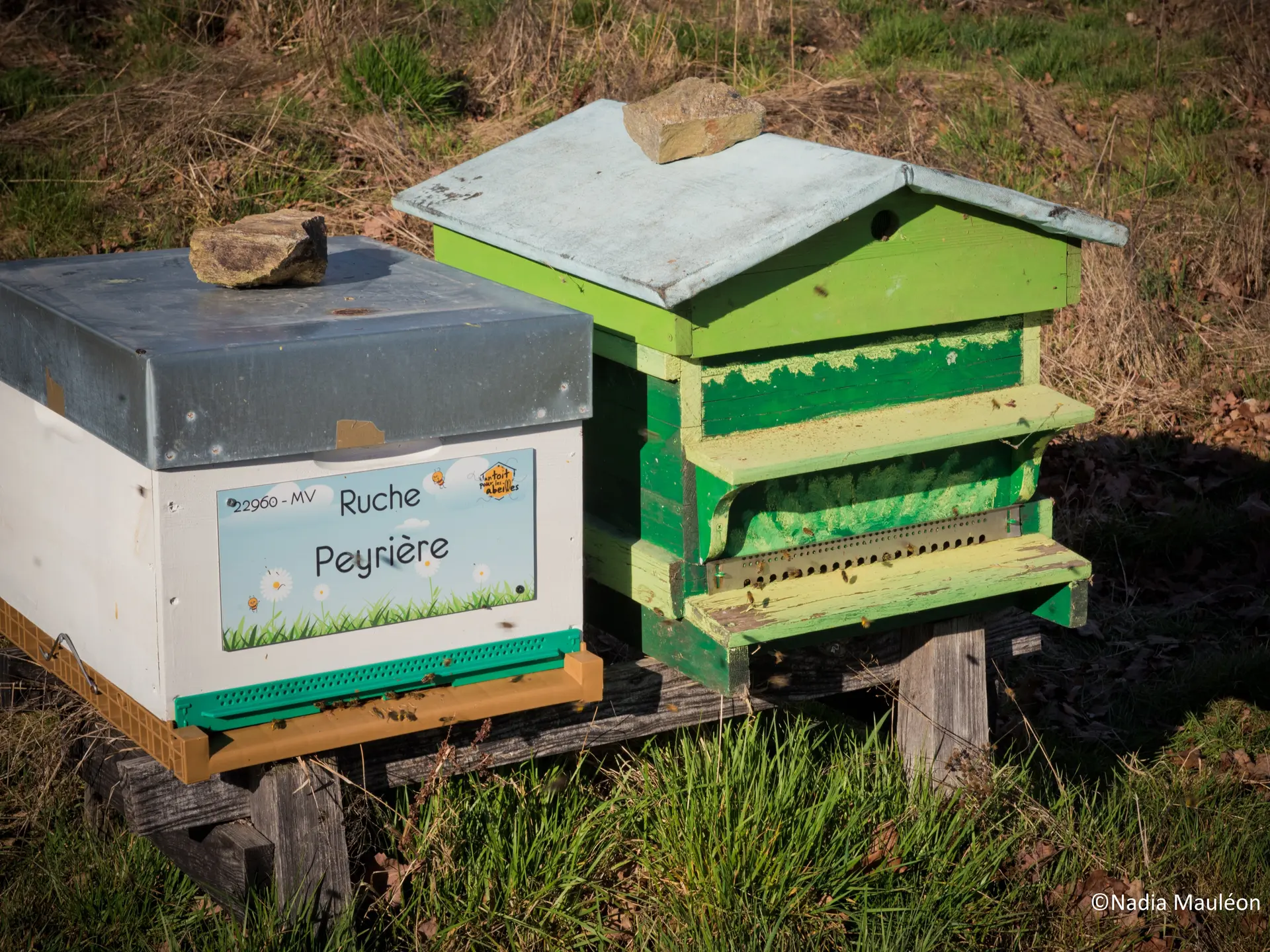_Nadia_Mauleon-Manuel_Vigneron-Miel-Agriculteur-015