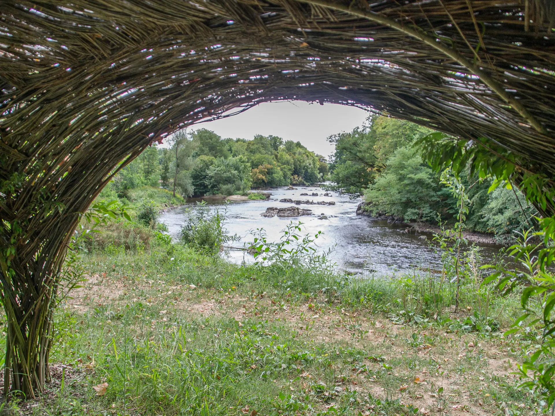 08082018-DSC_0656