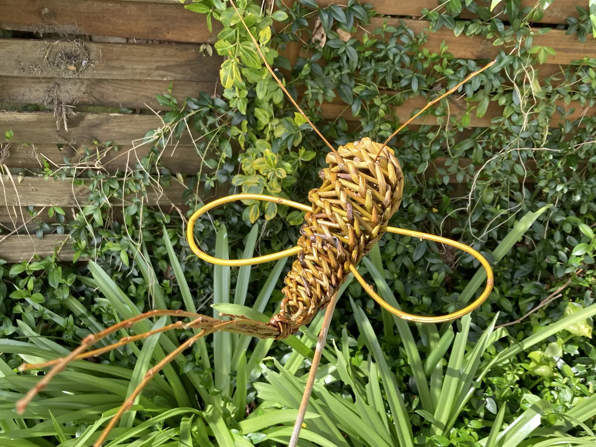 Bestiole - Deco plantes
