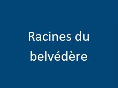 Racines du belvédère