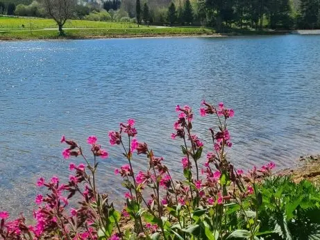 Etang de Riffataire