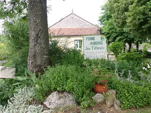 FA LES TILLEULS