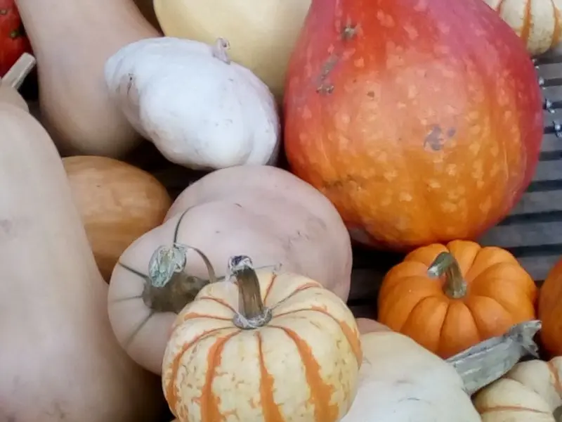 Ferme Dutheil-Becker ©Paula Dutheil-Becker