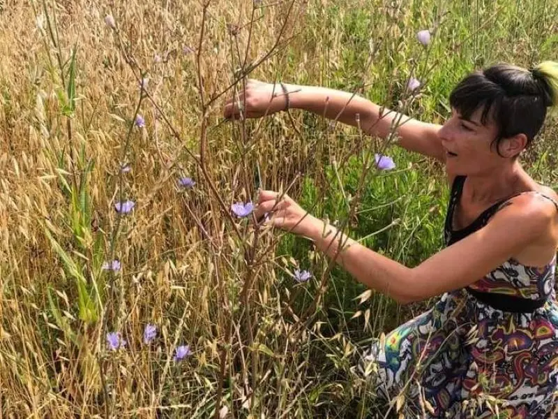 L'herbe folle © Marjorie Soulhol