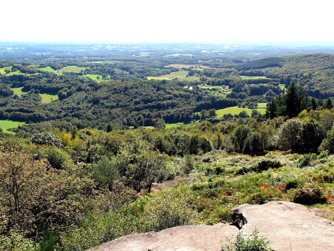 La montée de KAO