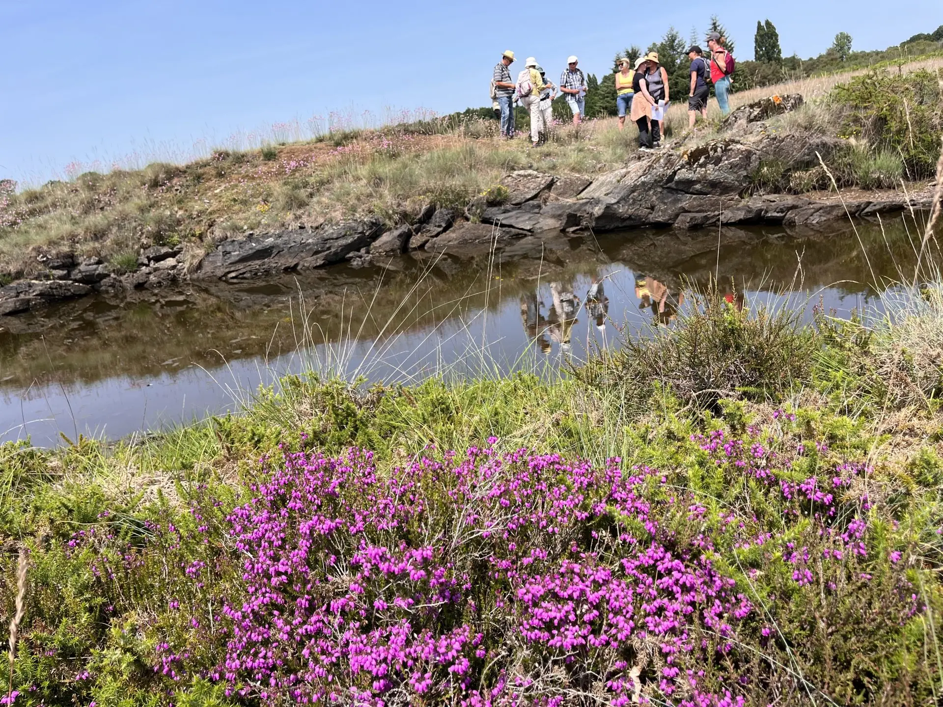 Lande St Laurent La Roche L'Abeille