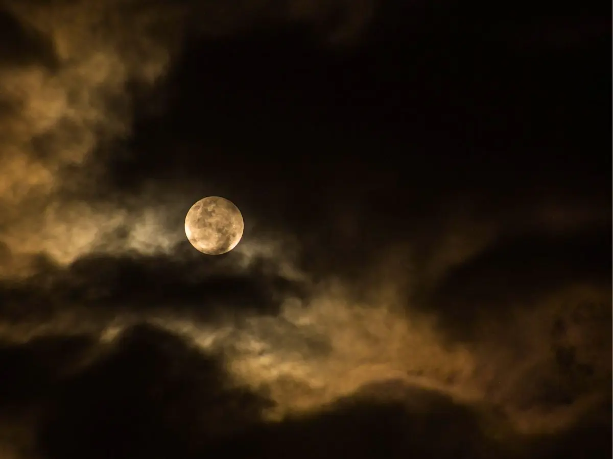 Sortie nocturne