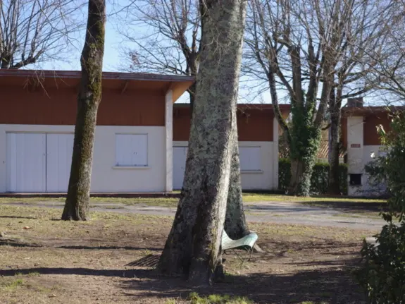 Village oiseaux