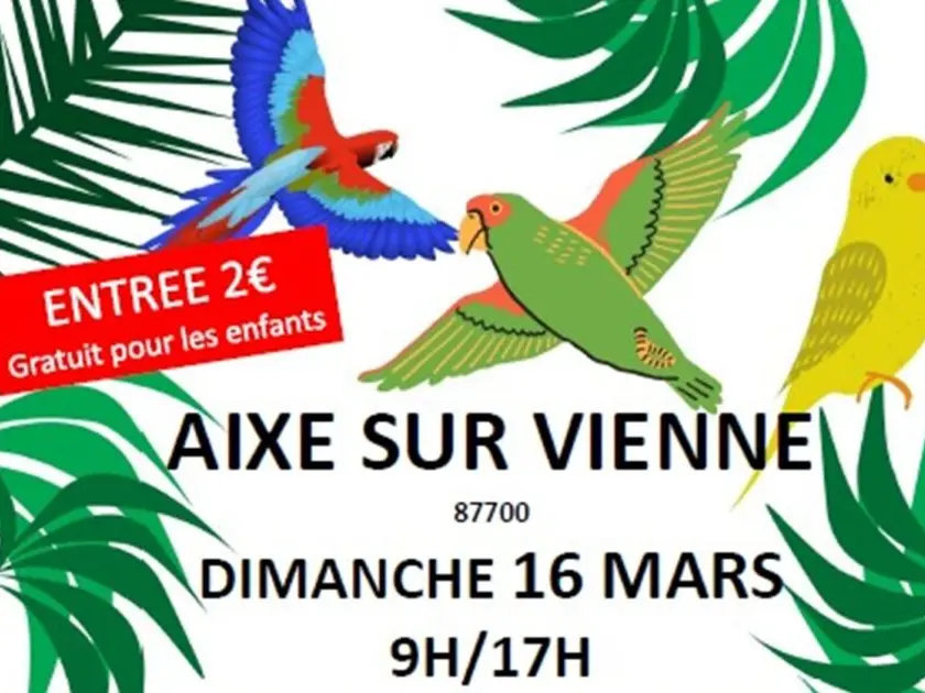 Visuel_Bourse-aux-oiseaux