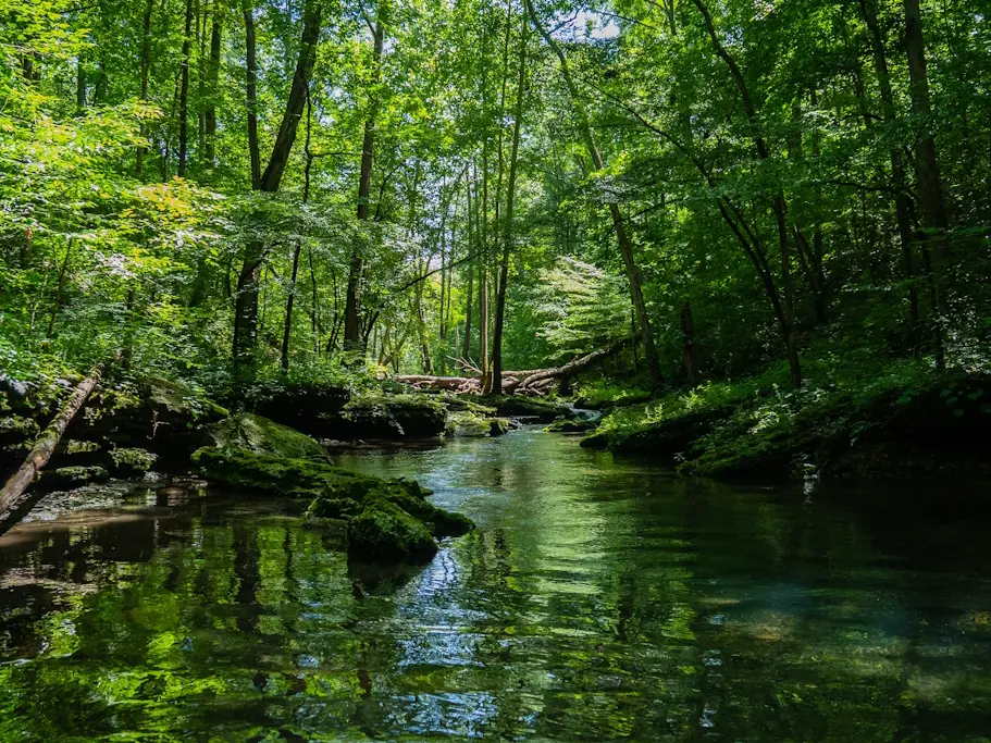 Sortie nature