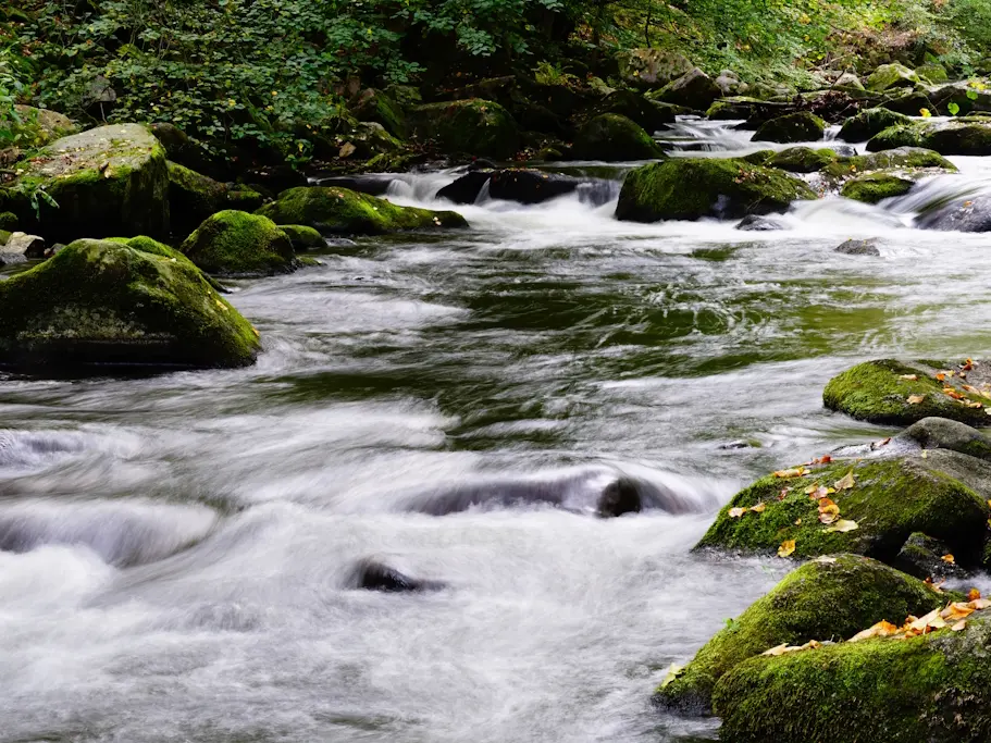 Rivière