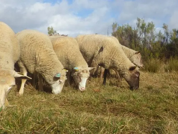ferme des forgerons ©Véronique Boullier