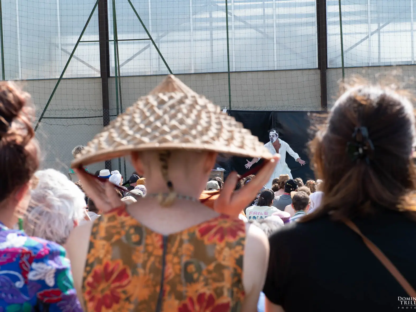 Festival Graines de Rue