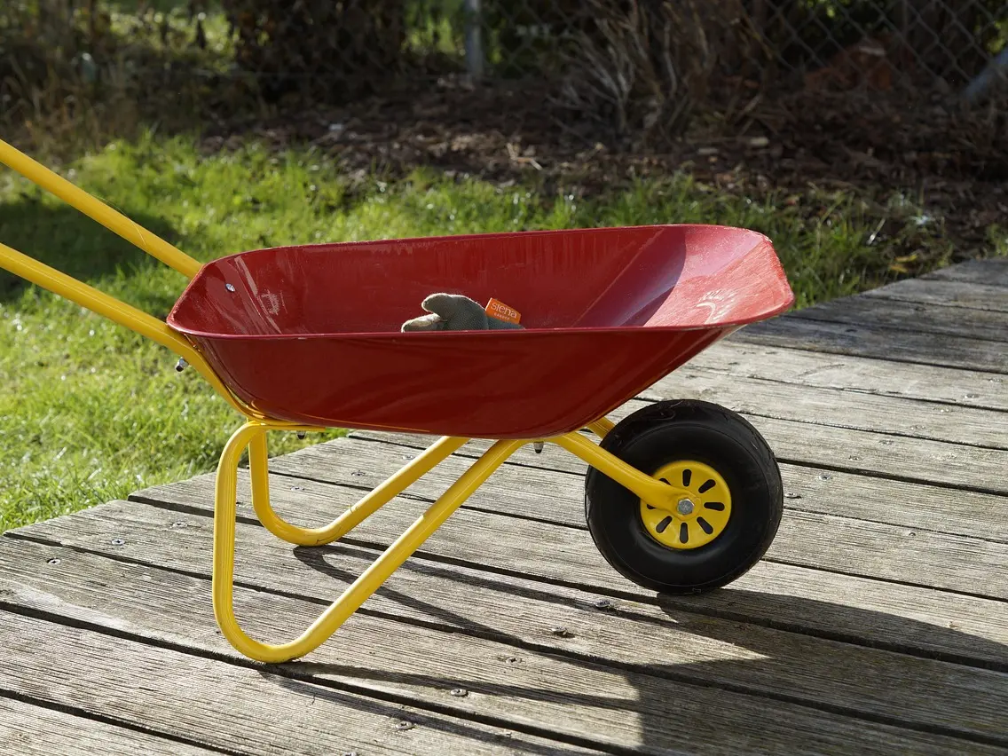 Atelier : Petit jardinier en herbe