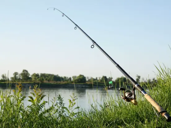 image pêche