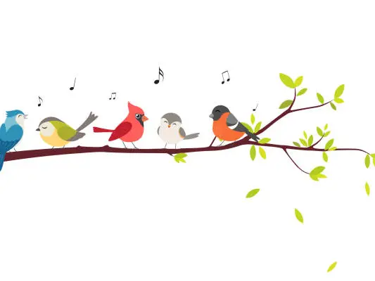istockphoto-chant des oiseaux