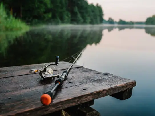 istockphoto-pêche