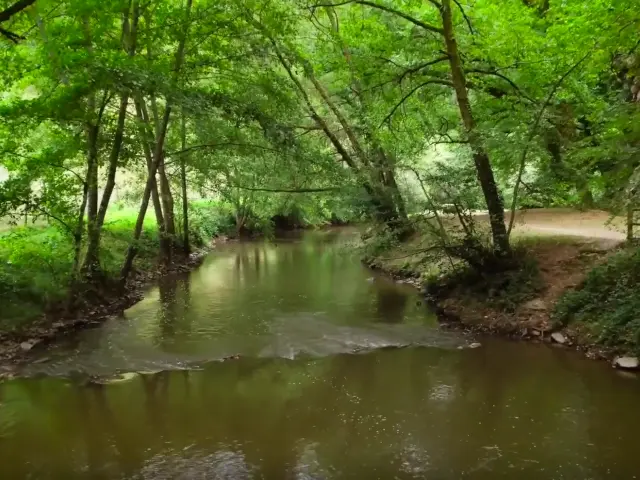 l'isle_capture_film_ccpl