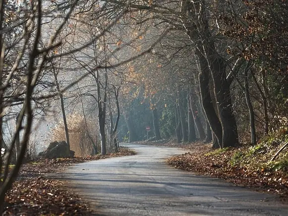 nature