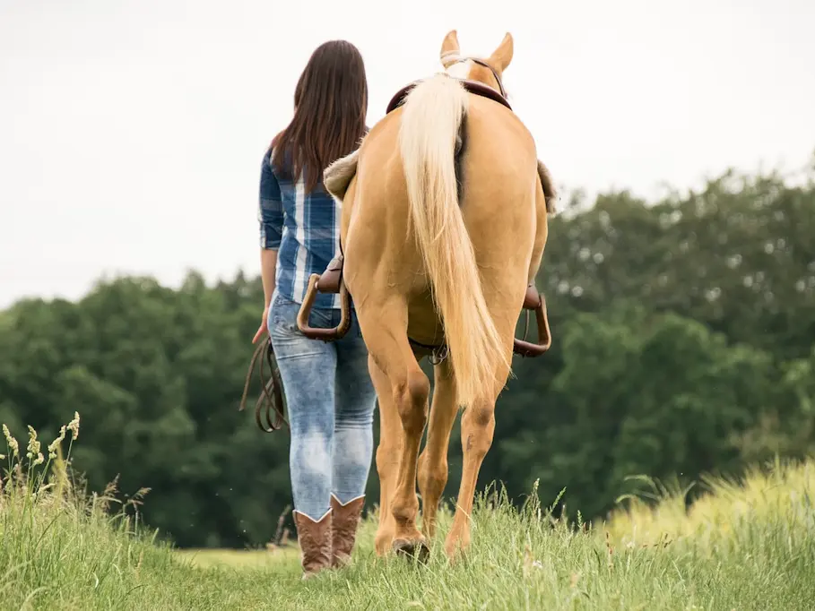 Balade à cheval