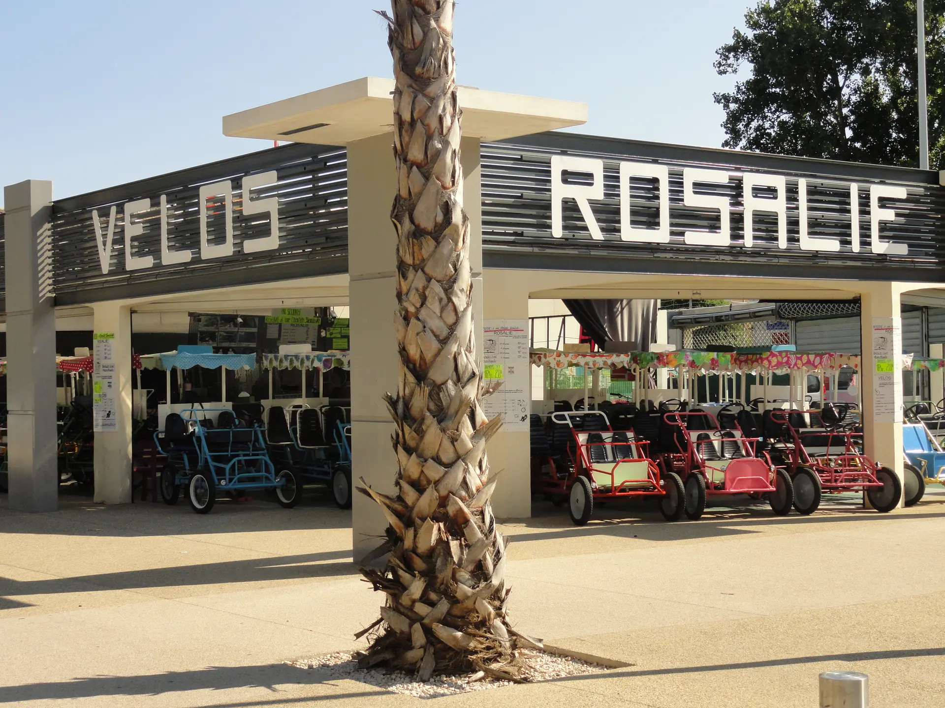 LOCATION DE ROSALIE ET DE VELOS 2016