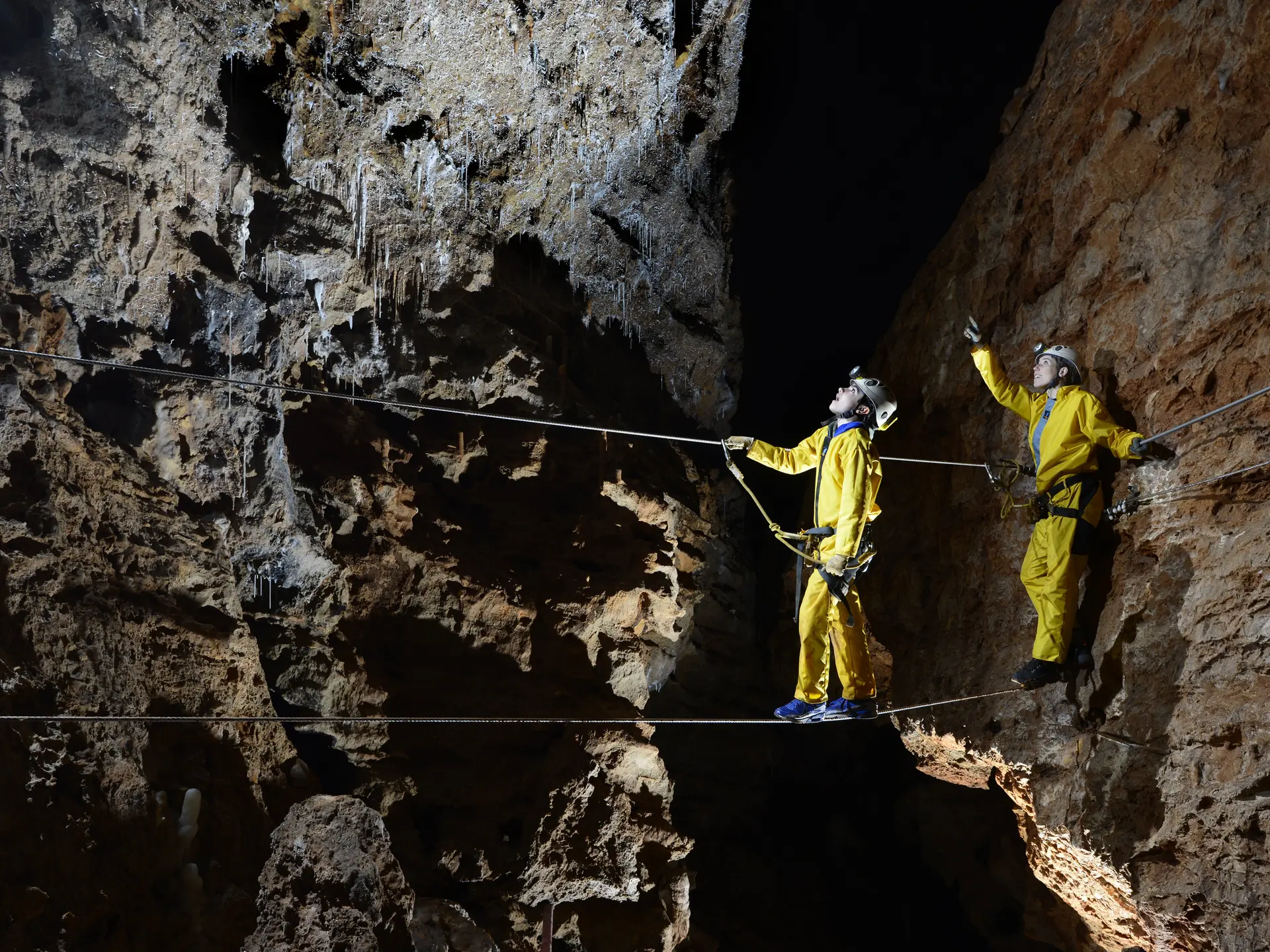 Parcours Accrobatique en Hauteur