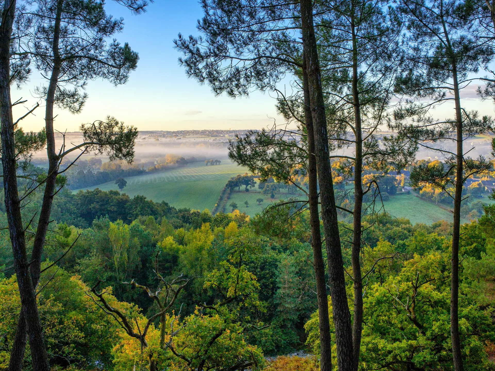 Panorama depuis le Tertre Gris