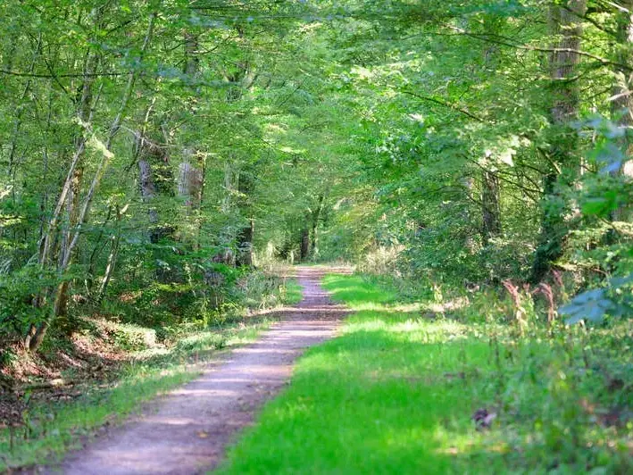 Parc de la Haichois