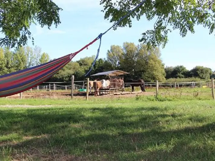 Ferme-equestre-d-Arwen