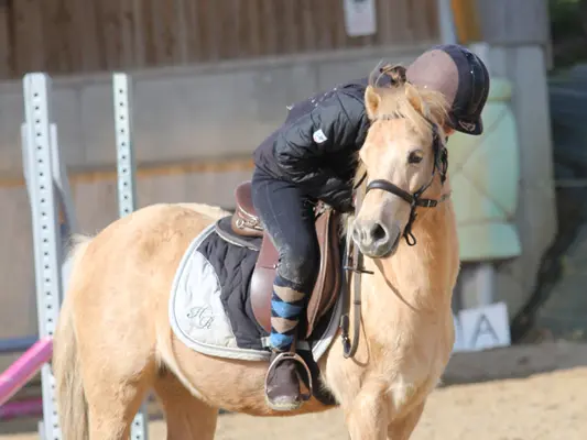 Poney - Le Bois Gerard - Centre equestre