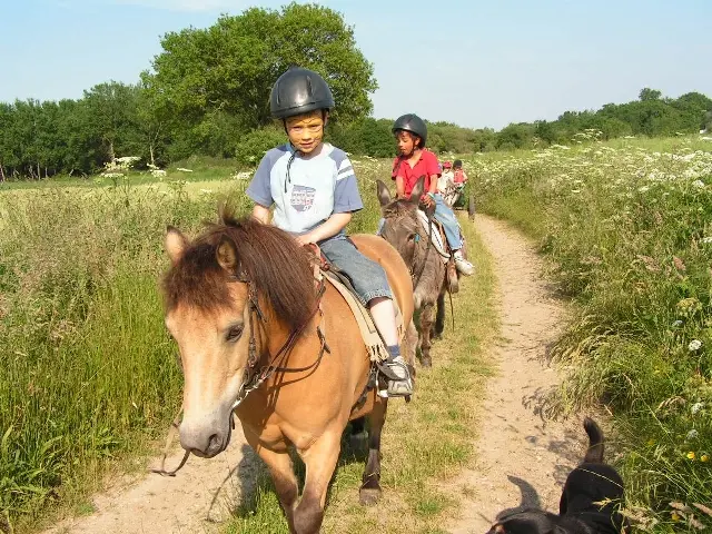 Les poneys de la Jouv'