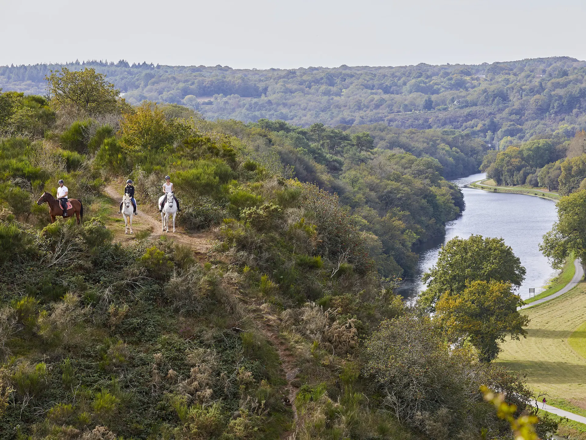 RANDONNEE EQUESTRE 11-10-2023 (18)(1)