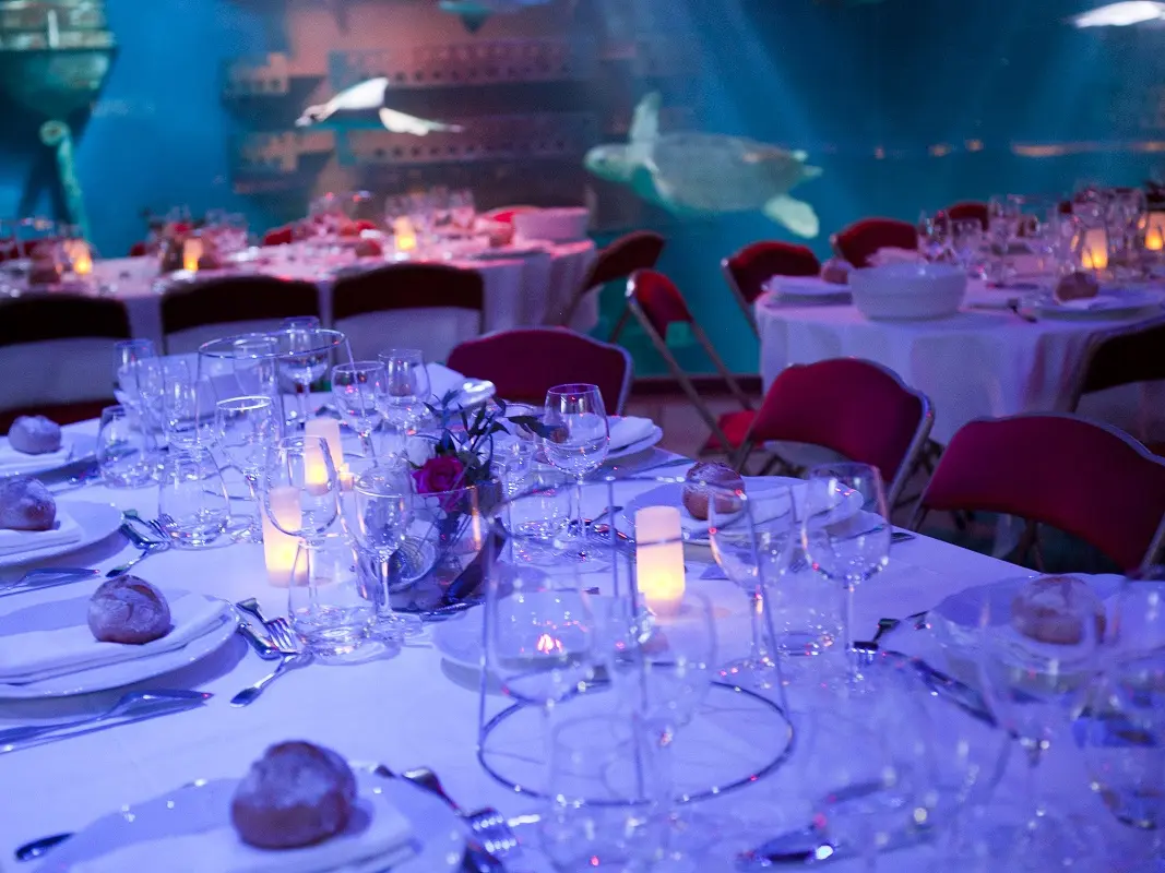 Table dîner - Location Salle - Grand Aquarium - Saint-Malo