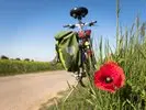 to-go-biking-5178398_1280-gi3sbx2m0twk.jpg.150x150_q85