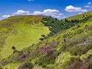 volcano-3650197_1280-tx3s7jr7yjfa.jpg.150x150_q85