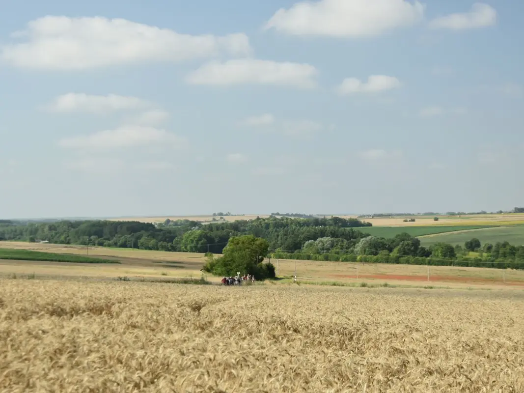 Anché - Estivales de Rando - Paysage 11 - CC OTACVL - 2031