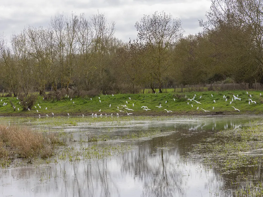 CC-CVL_Tourisme_Sites-naturels_Cunette2©CC-CVL-02-24-FabB-3S8A8290