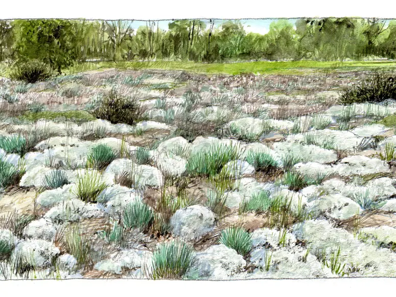 CC-CVL_Tourisme_Sites-naturels_Bertignolles_Paysage-Pelouse©BenoitPerrotin