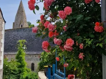 Courcay_052023_MBIZIEN 8