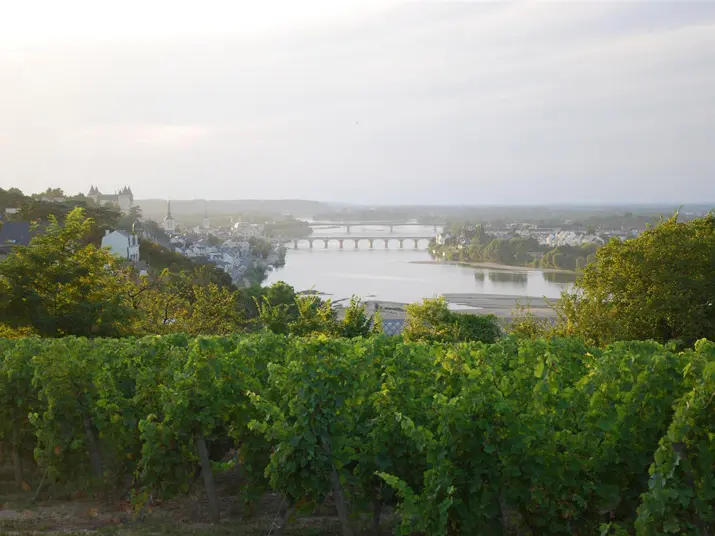 Loire Secrets