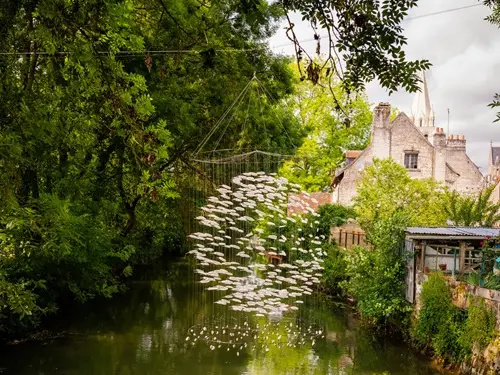 Prairies du Roy_peche_beaulieu_loches-valdeloire