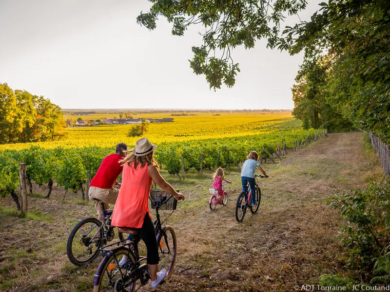 Boucle vélo Grands crus et belles demeures - Vignoble de Bourgueil