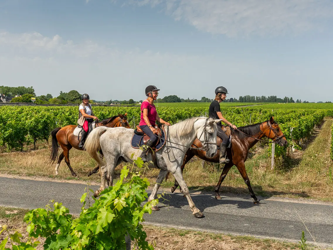 boucle équestre entre vignes et forêts