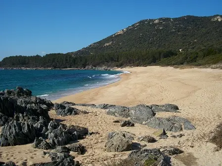 OLMETO PLAGE CORSE DU SUD_1