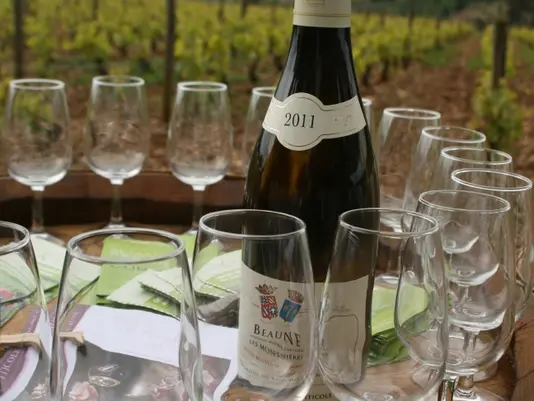 dégustation commentée à la parcelle