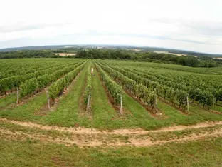 DOMAINE DE LA PÂTURIE_1