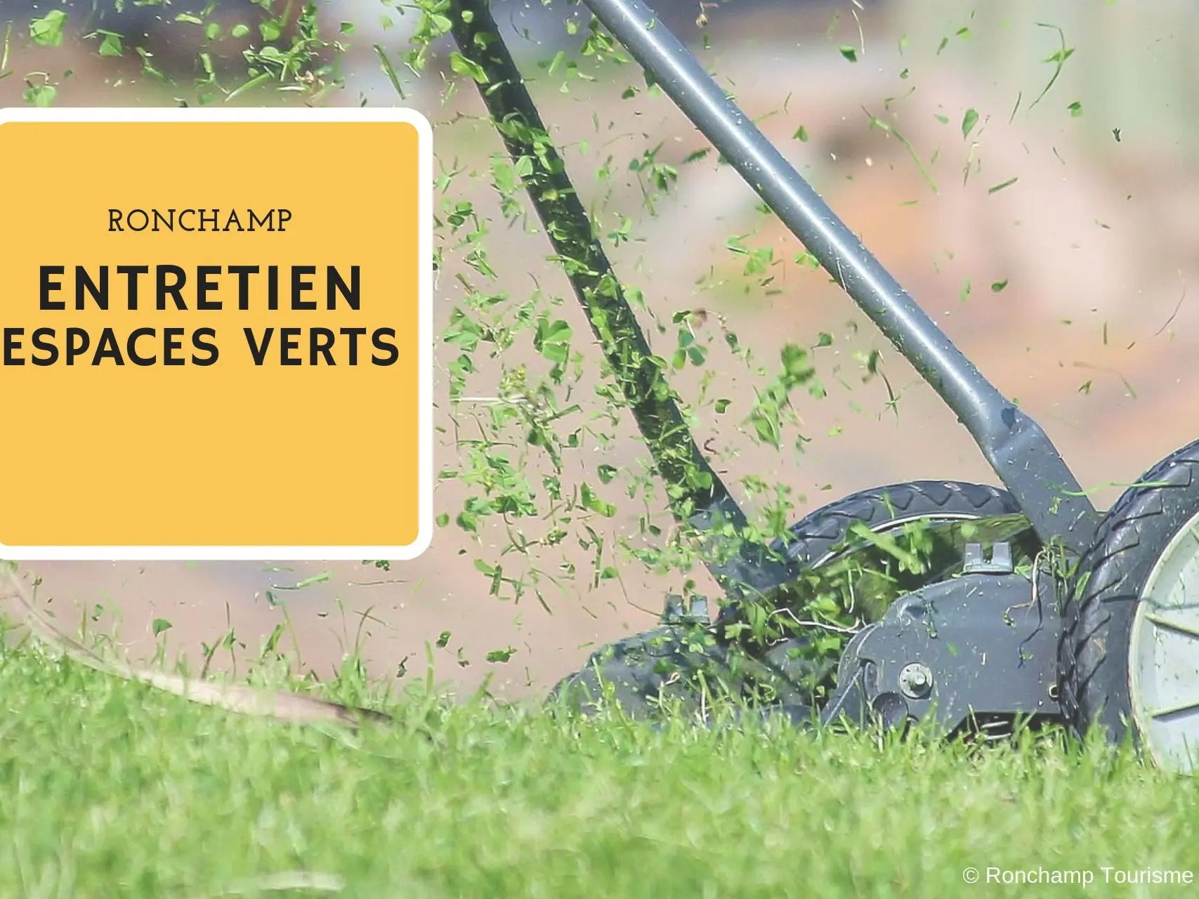 MILLE ESPACES VERTS_1